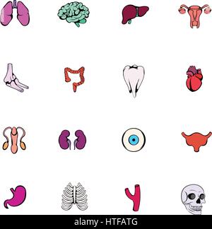 Organs icons set in cartoon style isolated on white background vector illustration Stock Vector