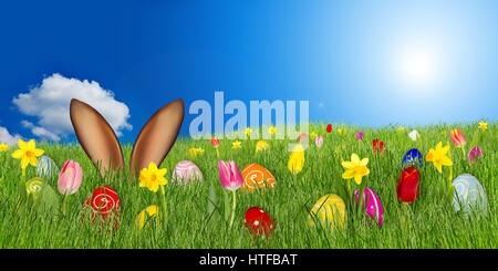 easter bunny ears behind meadow with colorful decorated painted eggs tulips daffodils in front of blue sky panorama background Stock Photo