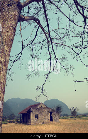 Amazing scene of at Quang Binh countryside,Vietnam. Abandoned stone house under big neem tree in summer, a place for discover tour Stock Photo