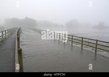 A view of a flooded river covering a road on a misty morning in Wiltshire, UK Stock Photo