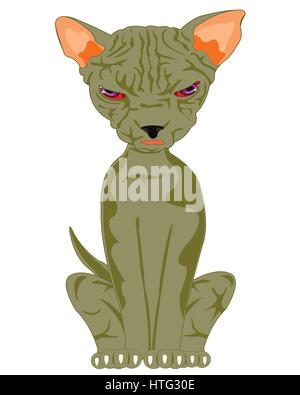 Pets animal cat sorts sphinx on white background Stock Vector