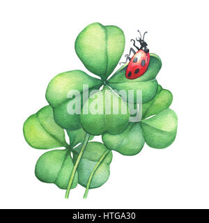 Ladybug sitting on a green four leaf clover. Hand drawn watercolor painting on white background. Stock Photo
