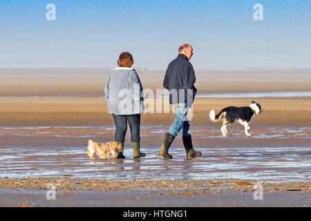 Spring Morning, Southport, Merseyside. 12th March 2017.  On a beautiful sunny spring morning, dog walkers and families head to the seaside at Southport in Merseyside.  Credit: Cernan Elias/Alamy Live news Stock Photo