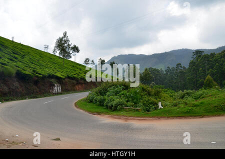 Picturesque mountains of Munnar, Kerala, India with Tea plantation in the foreground Stock Photo