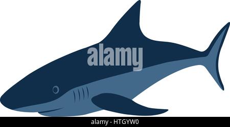 Realistic shark on a white background, vector illustration. Stock Vector