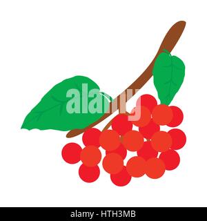 Hawthorn icon, isometric 3d style Stock Vector