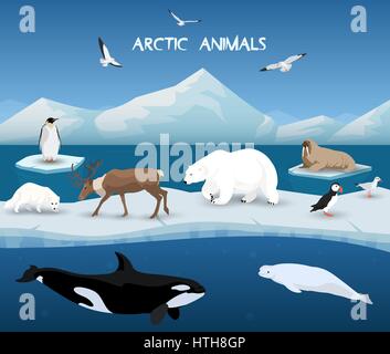 Arctic Animals Character and Background, Winter, Nature Travel and Wildlife Stock Vector