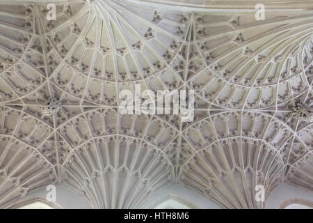 The Fan Vaulted Ceiling of the Lane Aisle, Cullompton Church, Devon Stock Photo