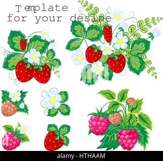 Natural organic berries set. Vector illustration Stock Vector