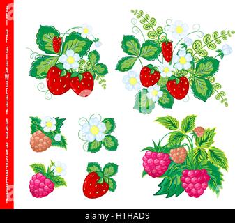 Natural organic berries set. Vector illustration Stock Vector