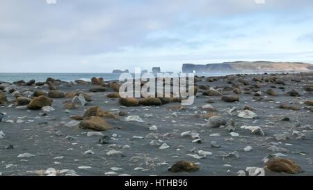 Reynisfjara black beach, Iceland, on moody winter day with no people with cliff and sea stacks in distance Stock Photo