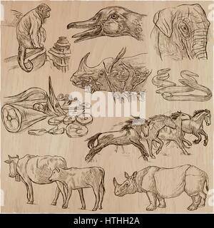 Animals around the World. An hand drawn vector illustrations. Collection. Editable in layers and groups. Stock Vector