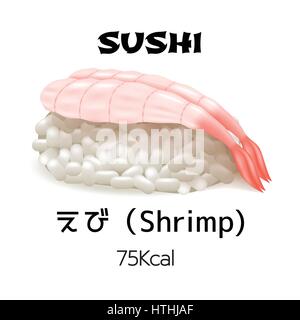 Sushi shrimp nigiri close-up isolated on white background. Dietary meals with calorie content. Japan traditions vector objects in realistic style. Jap Stock Vector