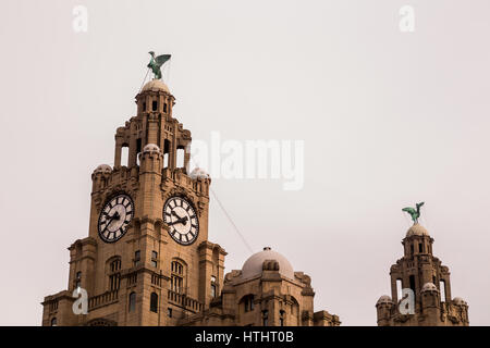 Close-up of the two Liver birds on the Liverpool waterfront on a bright but overcast day. Stock Photo