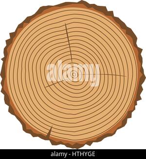Vector illustration of tree rings textures and saw cut tree trunk Stock ...