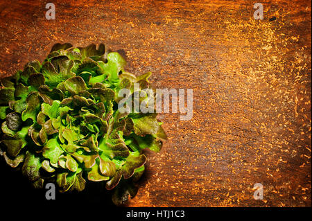 A Bunch of Fresh Red Sorrel on wooden rustic bakcground with a place for an inscription Stock Photo