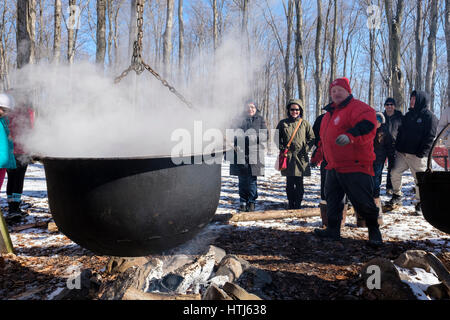 Large cast iron pot being used to reduce sugar maple sap to maple