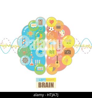 Functions of left and right brain hemispheres in groups of colorful bubbles with brain waves concept on white background Stock Vector