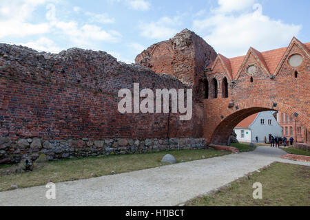 Teutonic Castle Ruins Ruiny zamku krzyżackiego Stock Photo