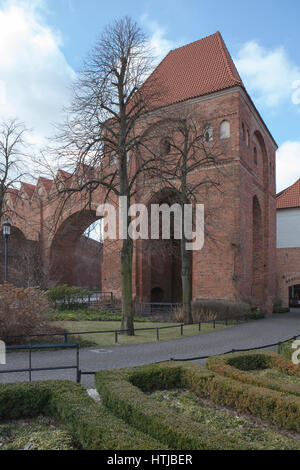 Teutonic Castle Ruins Ruiny zamku krzyżackiego Stock Photo