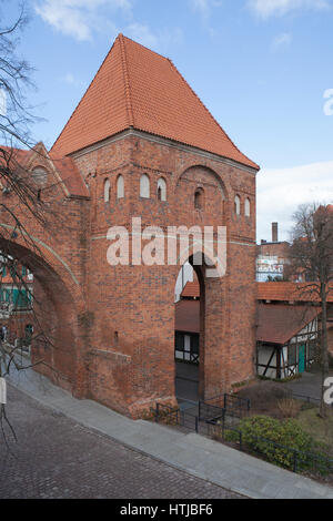 Teutonic Castle Ruins Ruiny zamku krzyżackiego Stock Photo