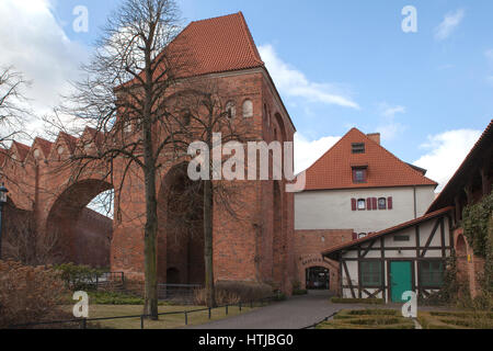 Teutonic Castle Ruins Ruiny zamku krzyżackiego Stock Photo