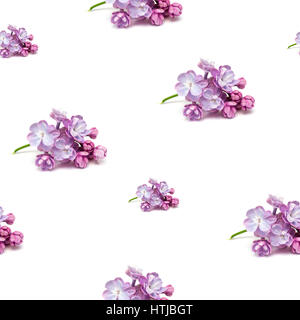 Seamless pattern with purple lilac flowers on white Stock Photo