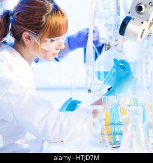 Young chemists in the laboratory. Stock Photo