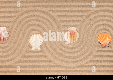 Zigzag on sand and seashells on wavy sand. Conceptual image Stock Photo