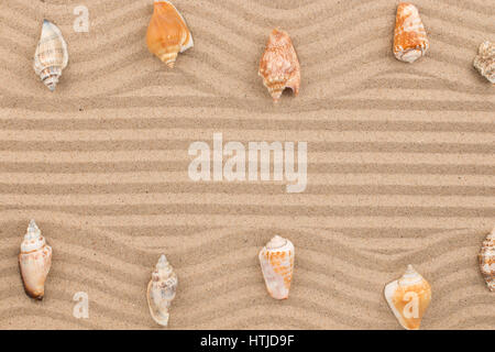 Two rows of seashells lying on the wavy sand, with space for text. View from above Stock Photo