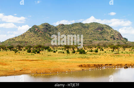 Tsavo East National park. Kenya. Stock Photo