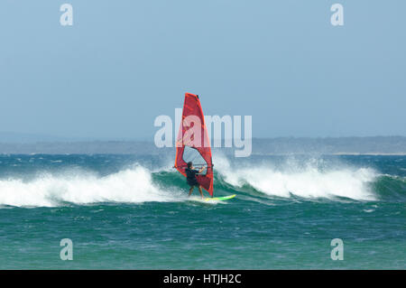 Windsurfer with colourful sails and surfboard at Seven Mile Beach, Gerroa, Illawarra Coast, New South Wales, NSW, Australia Stock Photo