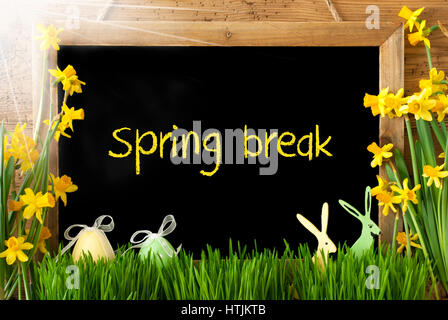 spring break background