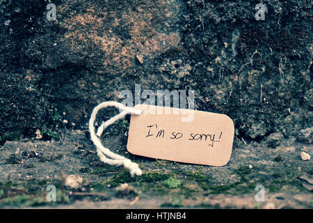 Sorry background on old cement wall, I'm so sorry text is message when make hurt for someone Stock Photo