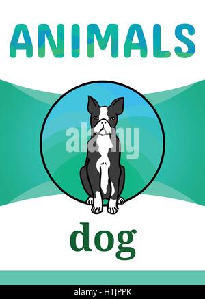 Printable animal flash card, vector illustration. Suitable for teaching children new words. Boston Terrier, dog breed, cartoon style Stock Vector