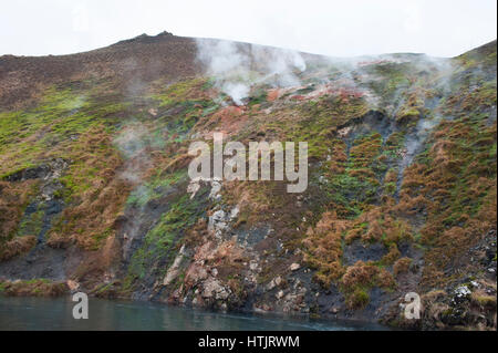 Geothermal hot springs or fumaroles,Hveragerdi, Iceland Stock Photo