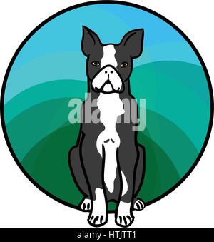Animal art, cute cartoon style, hand drawn vector illustration. Boston Terrier, dog breed, cartoon style Stock Vector