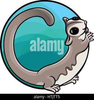 Animal art, cute cartoon style, hand drawn vector illustration. Adorable sugar glider, cartoon style Stock Vector