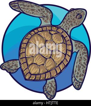 Animal art, cute cartoon style, hand drawn vector illustration. Green sea turtle living in Pacific ocean, cartoon style Stock Vector