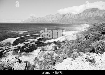 in south africa coastline indian ocean  near the mountain and beach with pkant and bush Stock Photo