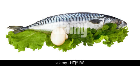 mackerel fish isolated on white background Stock Photo