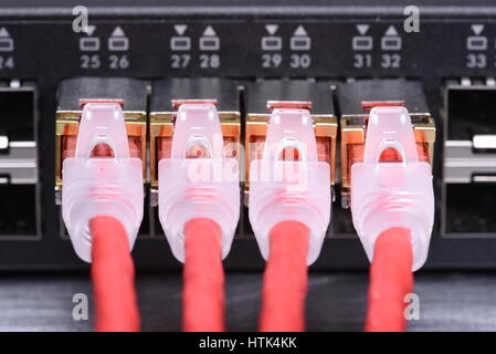 Technology Devices Network Switch with Ethernet Cables Stock Photo