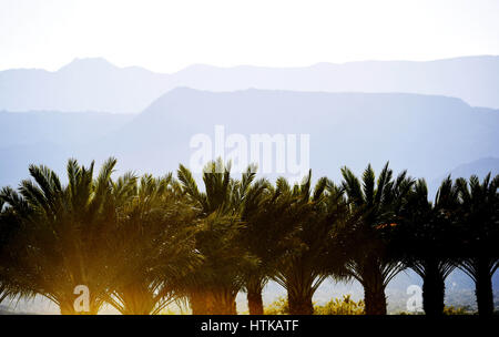 Indian Wells, California, USA. 12th March 2017. Scenes from the BNP Paribas Open at Indian Wells Tennis Garden in Indian Wells, California Credit: Cal Sport Media/Alamy Live News Stock Photo