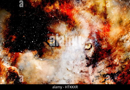 magical space wolf, multicolor computer graphic collage Stock Photo