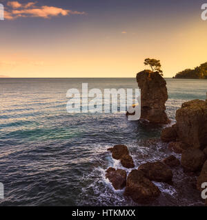 Portofino natural regional park. Lonely pine tree rock and coastal cliff beach on sunset. Ligury, Italy Stock Photo