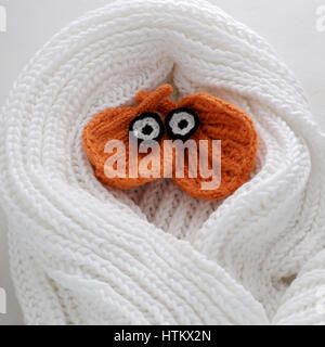 Humor eyes of winter from yarn, diy simple background for Xmas holiday by knitted leaf for eyebrows, nose on white scarf background, funny face craft Stock Photo