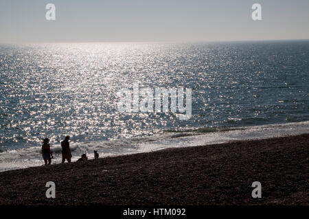 A couple walk their two sheep dogs on a beach at sunset Stock Photo