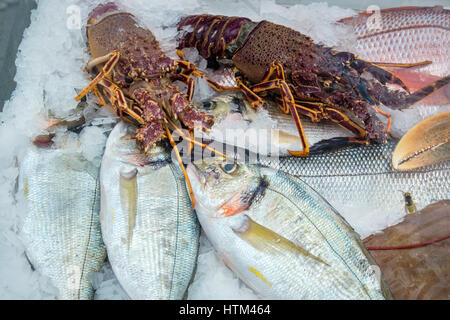 Display of fresh fish and lobster on ice outside a restaurant in Platamonas. Pieria, Greece Stock Photo