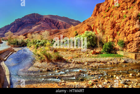 Todgha Gorge, a canyon in the Atlas Mountains. Morocco Stock Photo