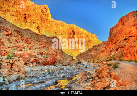 Todgha Gorge, a canyon in the Atlas Mountains. Morocco Stock Photo